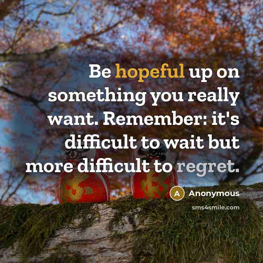 “Be hopeful up on something you really want. Remember: it's difficult to wait but more difficult to regret.” quote by Anonymous