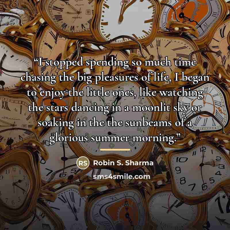 “I stopped spending so much time chasing the big pleasures of life, I began to enjoy the little ones, like watching the stars dancing in a moonlit sky or soaking in the the sunbeams of a glorious summer morning.” quote by Robin S. Sharma