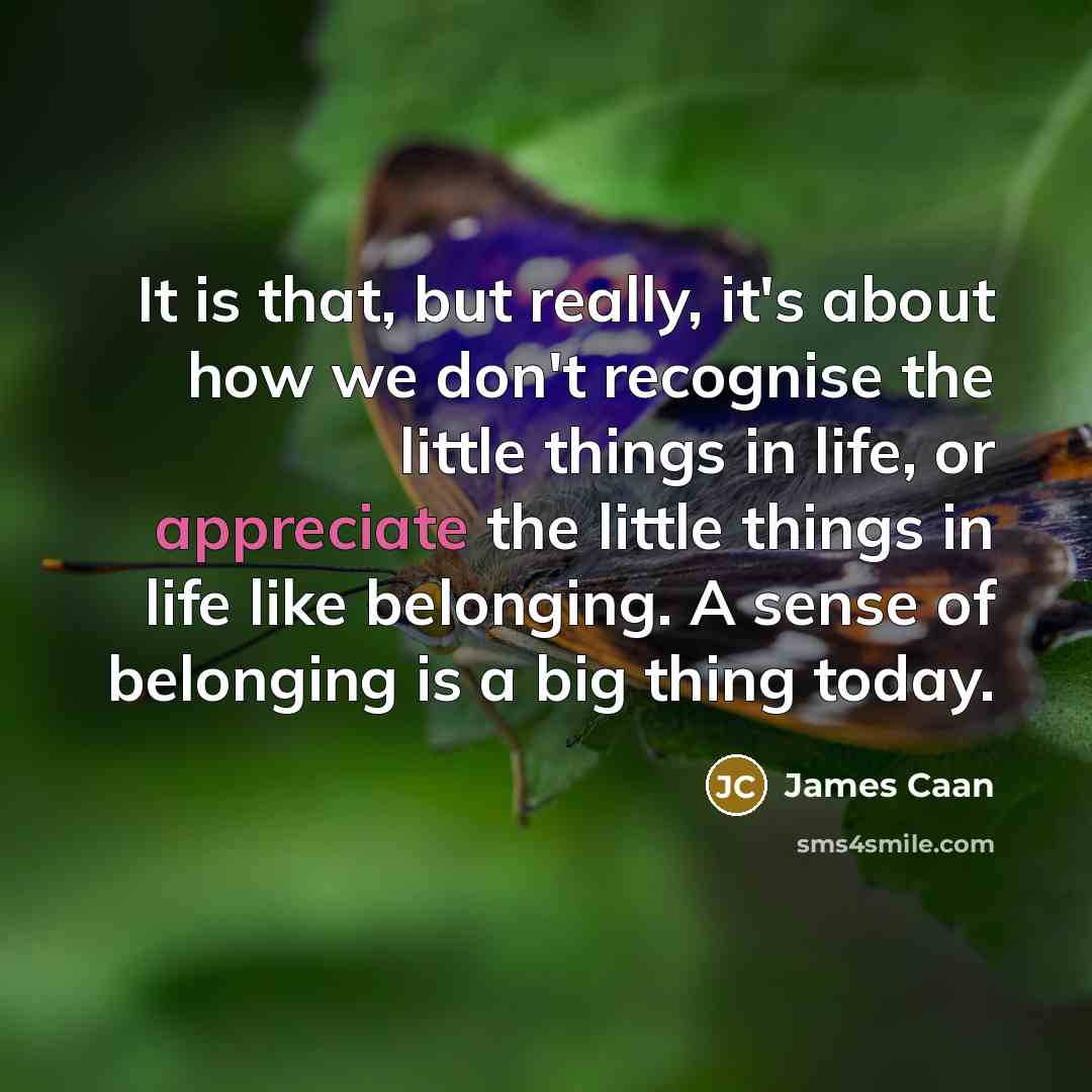 “It is that, but really, it's about how we don't recognise the little things in life, or appreciate the little things in life like belonging. A sense of belonging is a big thing today.” quote by James Caan