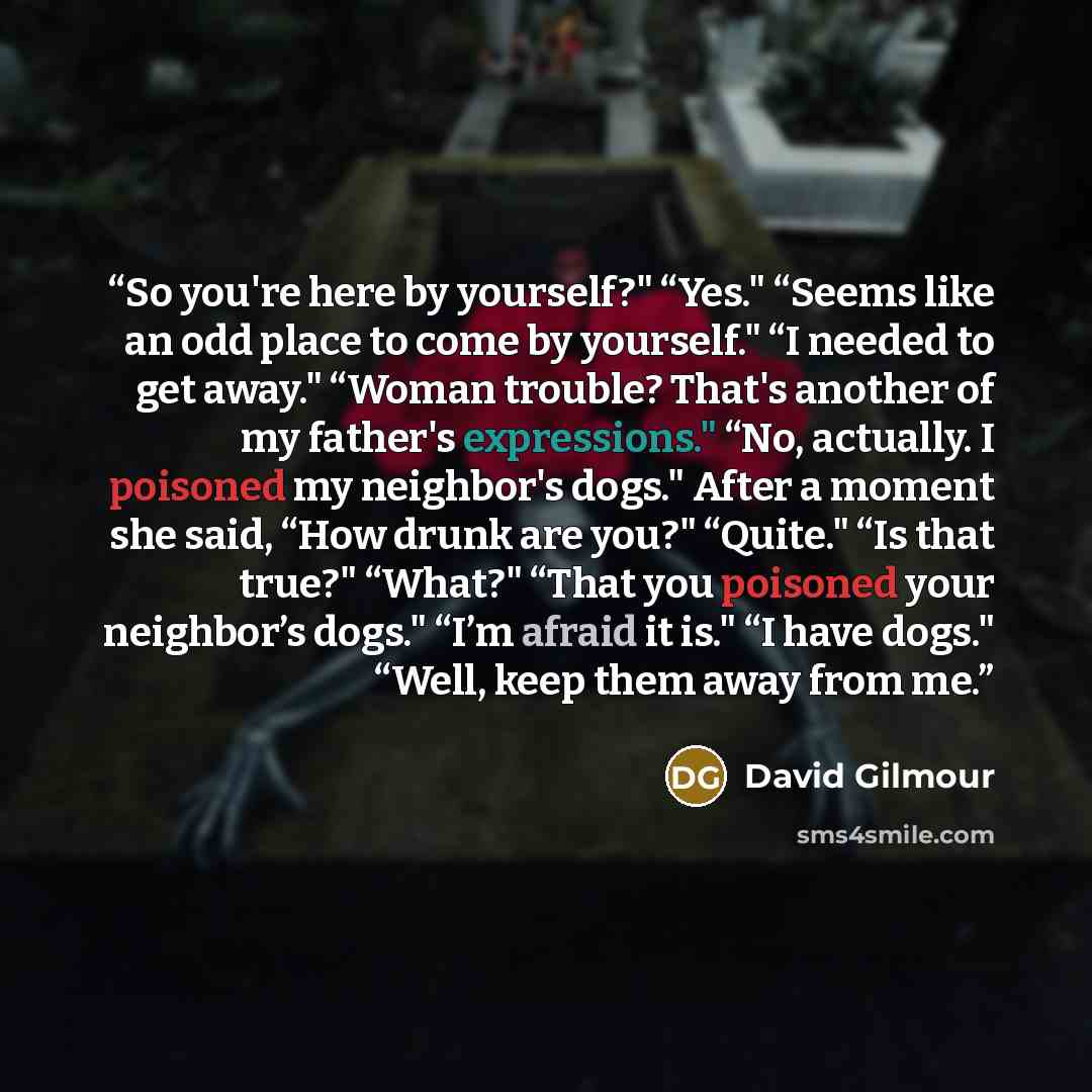 “So you're here by yourself?" “Yes." “Seems like an odd place to come by yourself." “I needed to get away." “Woman trouble? That's another of my father's expressions." “No, actually. I poisoned my neighbor's dogs." After a moment she said, “How drunk are you?" “Quite." “Is that true?" “What?" “That…” quote by David Gilmour