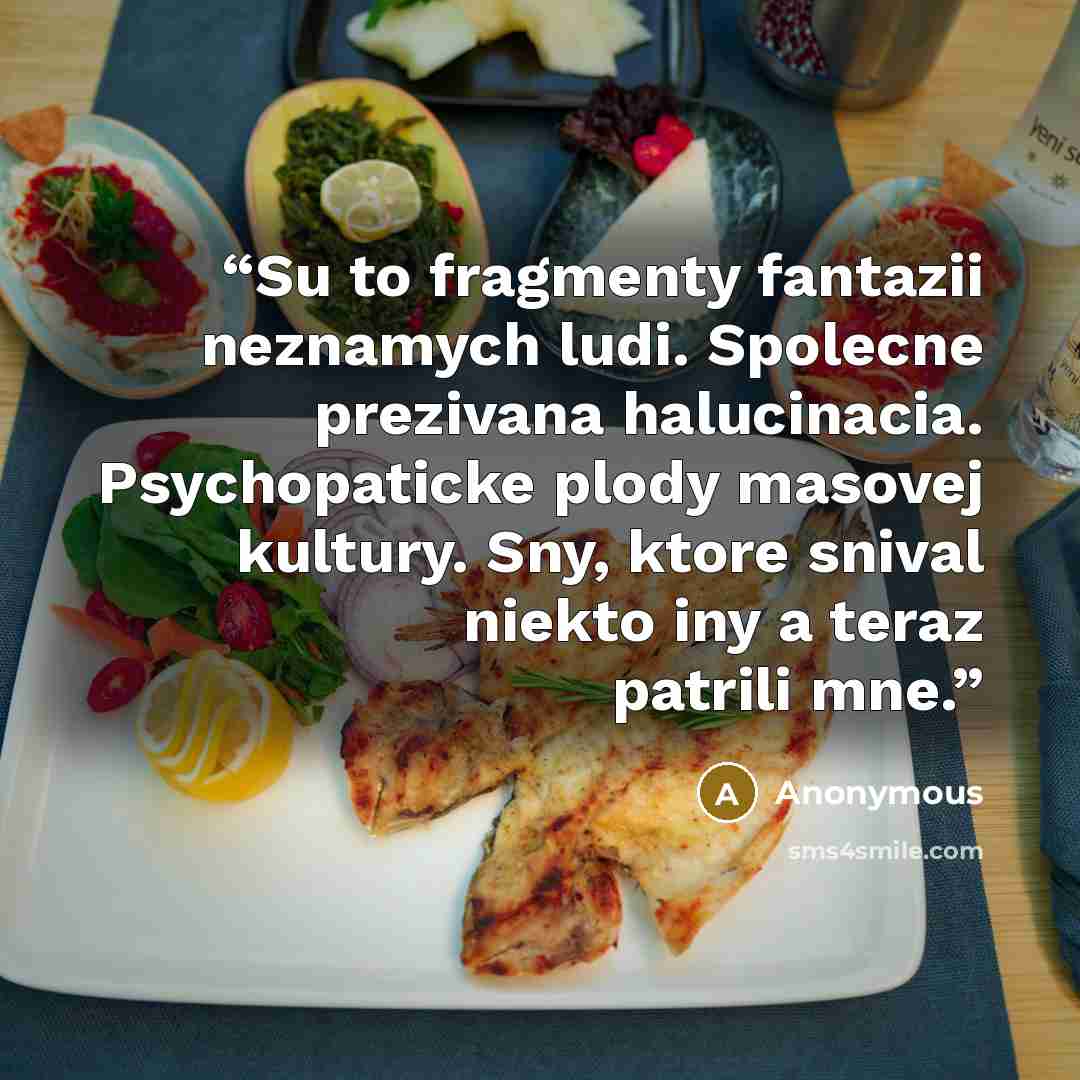 “Su to fragmenty fantazii neznamych ludi. Spolecne prezivana halucinacia. Psychopaticke plody masovej kultury. Sny, ktore snival niekto iny a teraz patrili mne.” quote by Anonymous