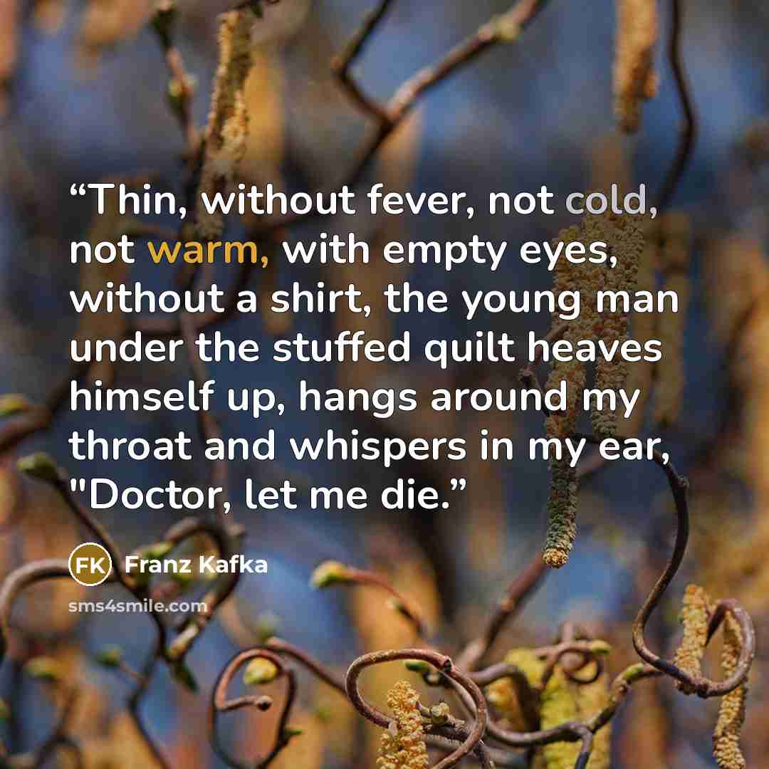 “Thin, without fever, not cold, not warm, with empty eyes, without a shirt, the young man under the stuffed quilt heaves himself up, hangs around my throat and whispers in my ear, "Doctor, let me die.” quote by Franz Kafka