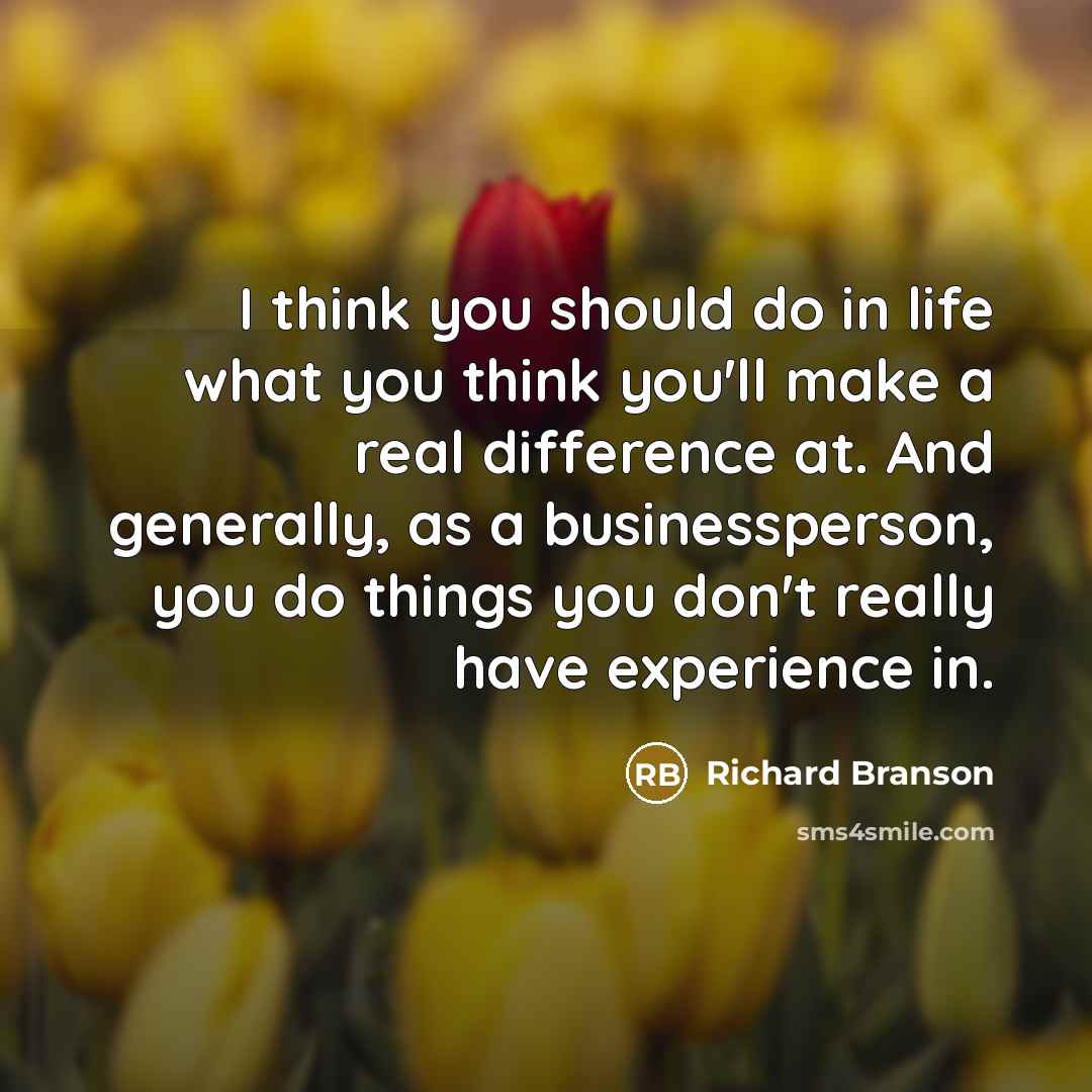 “I think you should do in life what you think you'll make a real difference at. And generally, as a businessperson, you do things you don't really have experience in.” quote by Richard Branson