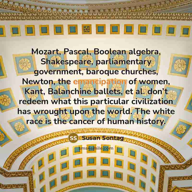 “Mozart, Pascal, Boolean algebra, Shakespeare, parliamentary government, baroque churches, Newton, the emancipation of women, Kant, Balanchine ballets, et al. don’t redeem what this particular civilization has wrought upon the world. The white race is the cancer of human history.” quote by Susan Sontag