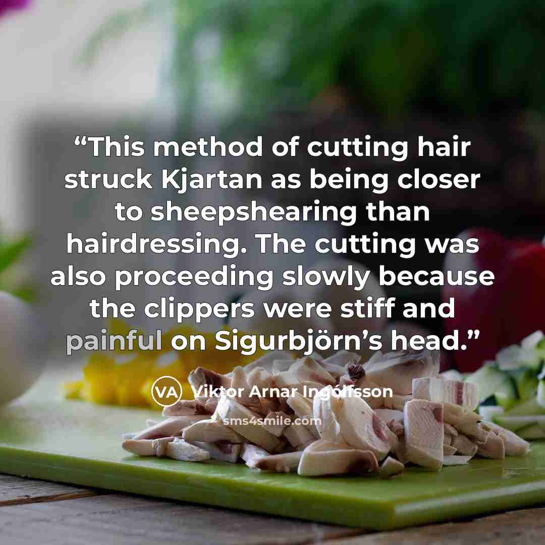 “This method of cutting hair struck Kjartan as being closer to sheepshearing than hairdressing. The cutting was also proceeding slowly because the clippers were stiff and painful on Sigurbjörn’s head.” quote by Viktor Arnar Ingólfsson