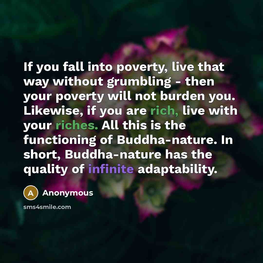 “If you fall into poverty, live that way without grumbling - then your poverty will not burden you. Likewise, if you are rich, live with your riches. All this is the functioning of Buddha-nature. In short, Buddha-nature has the quality of infinite adaptability.” quote by Anonymous
