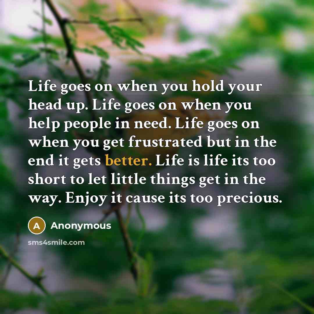 “Life goes on when you hold your head up. Life goes on when you help people in need. Life goes on when you get frustrated but in the end it gets better. Life is life its too short to let little things get in the way. Enjoy it cause its too precious.” quote by Anonymous