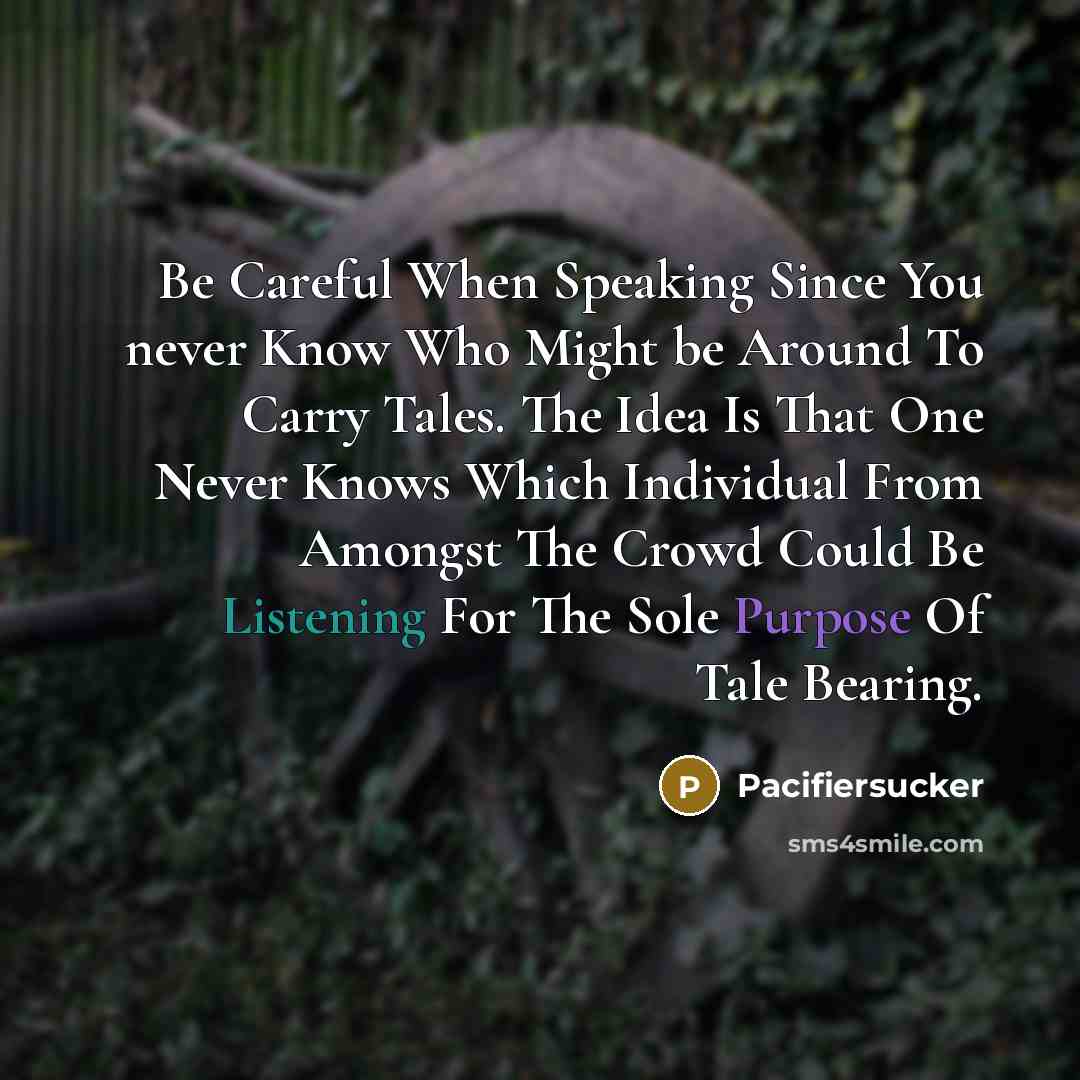 “Be Careful When Speaking Since You never Know Who Might be Around To Carry Tales. The Idea Is That One Never Knows Which Individual From Amongst The Crowd Could Be Listening For The Sole Purpose Of Tale Bearing.” quote by Pacifiersucker