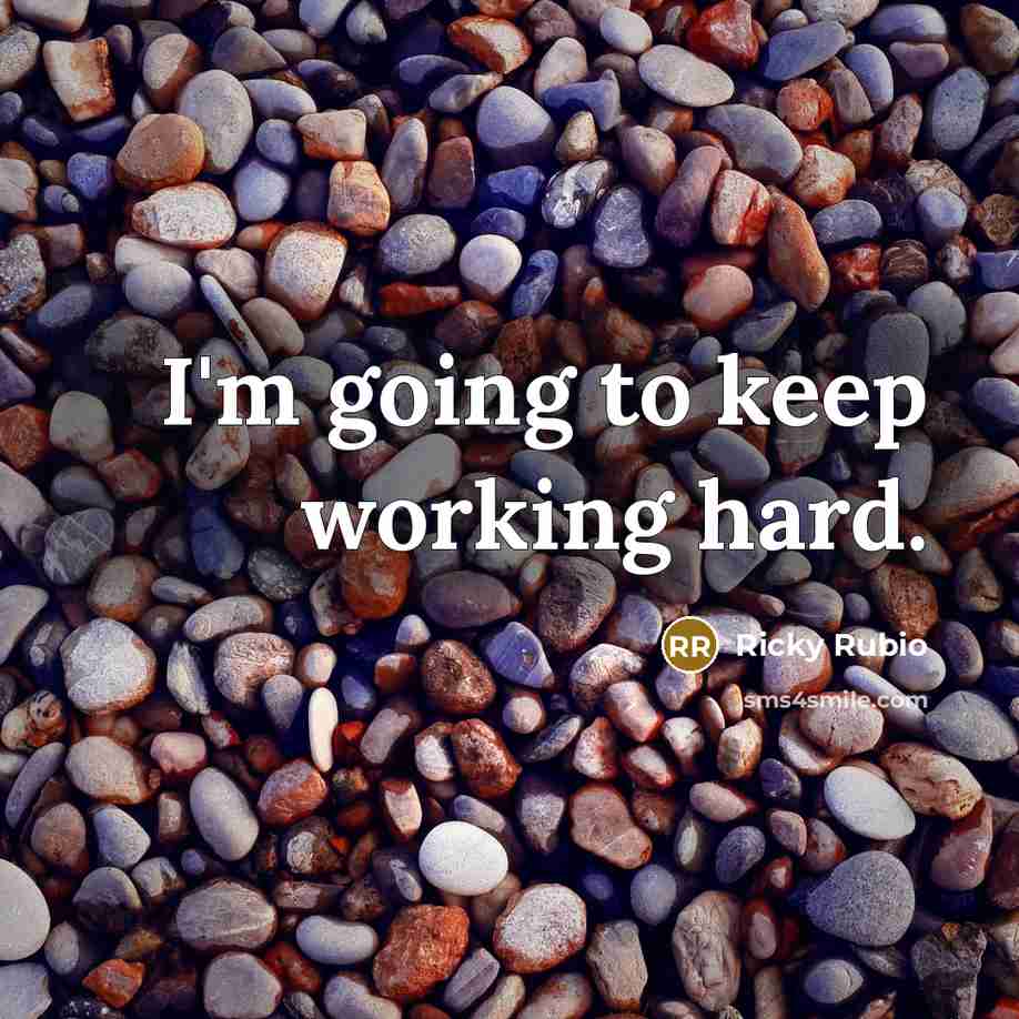 “I'm going to keep working hard.” quote by Ricky Rubio