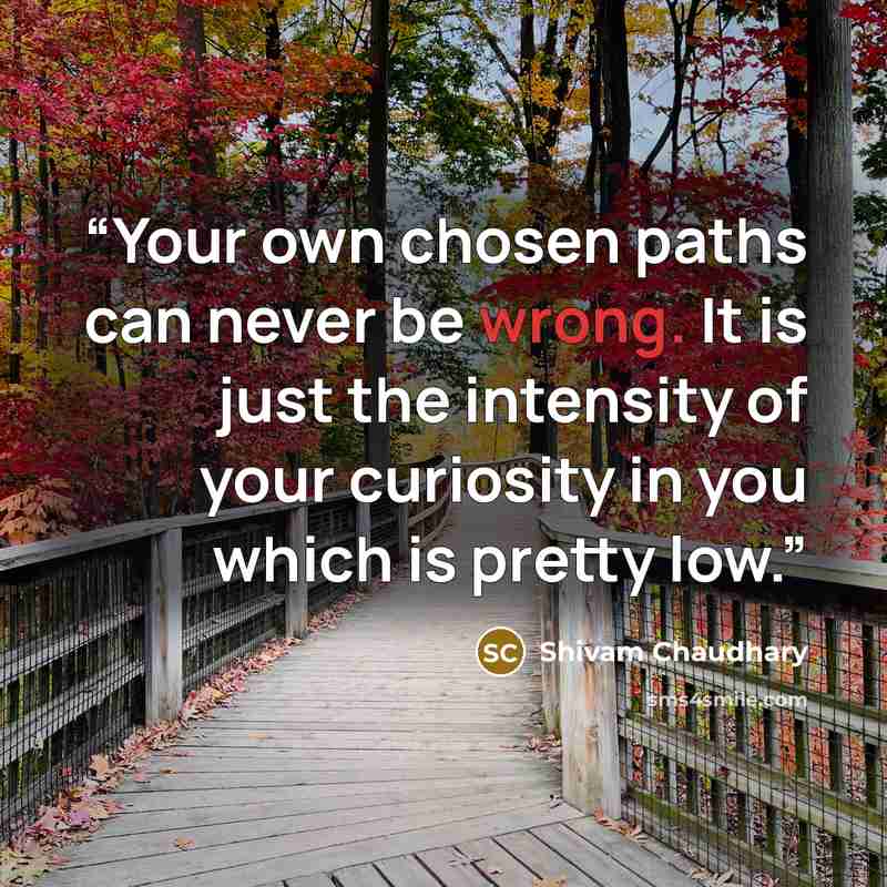 “Your own chosen paths can never be wrong. It is just the intensity of your curiosity in you which is pretty low.” quote by Shivam Chaudhary
