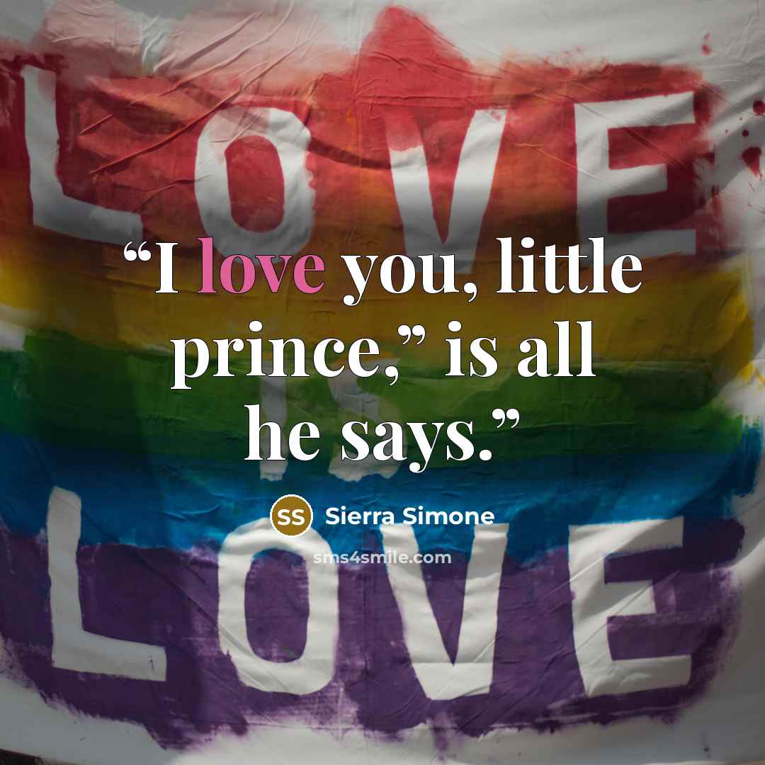 “I love you, little prince,” is all he says.” quote by Sierra Simone