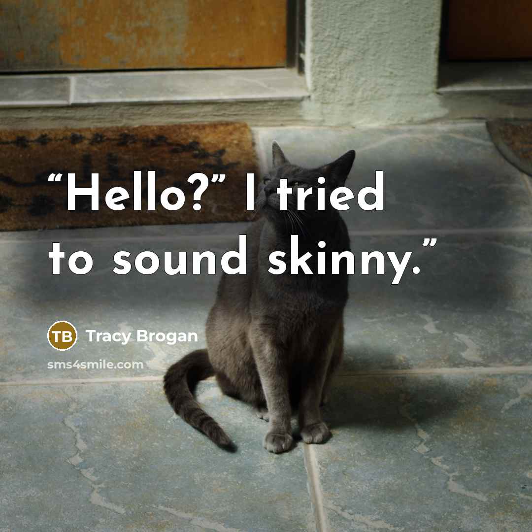 “Hello?” I tried to sound skinny.” quote by Tracy Brogan