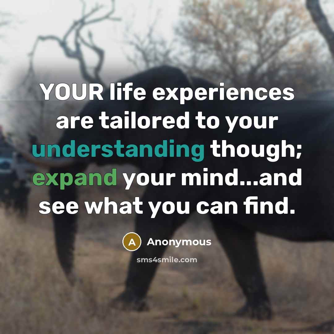 “YOUR life experiences are tailored to your understanding though; expand your mind...and see what you can find.” quote by Anonymous