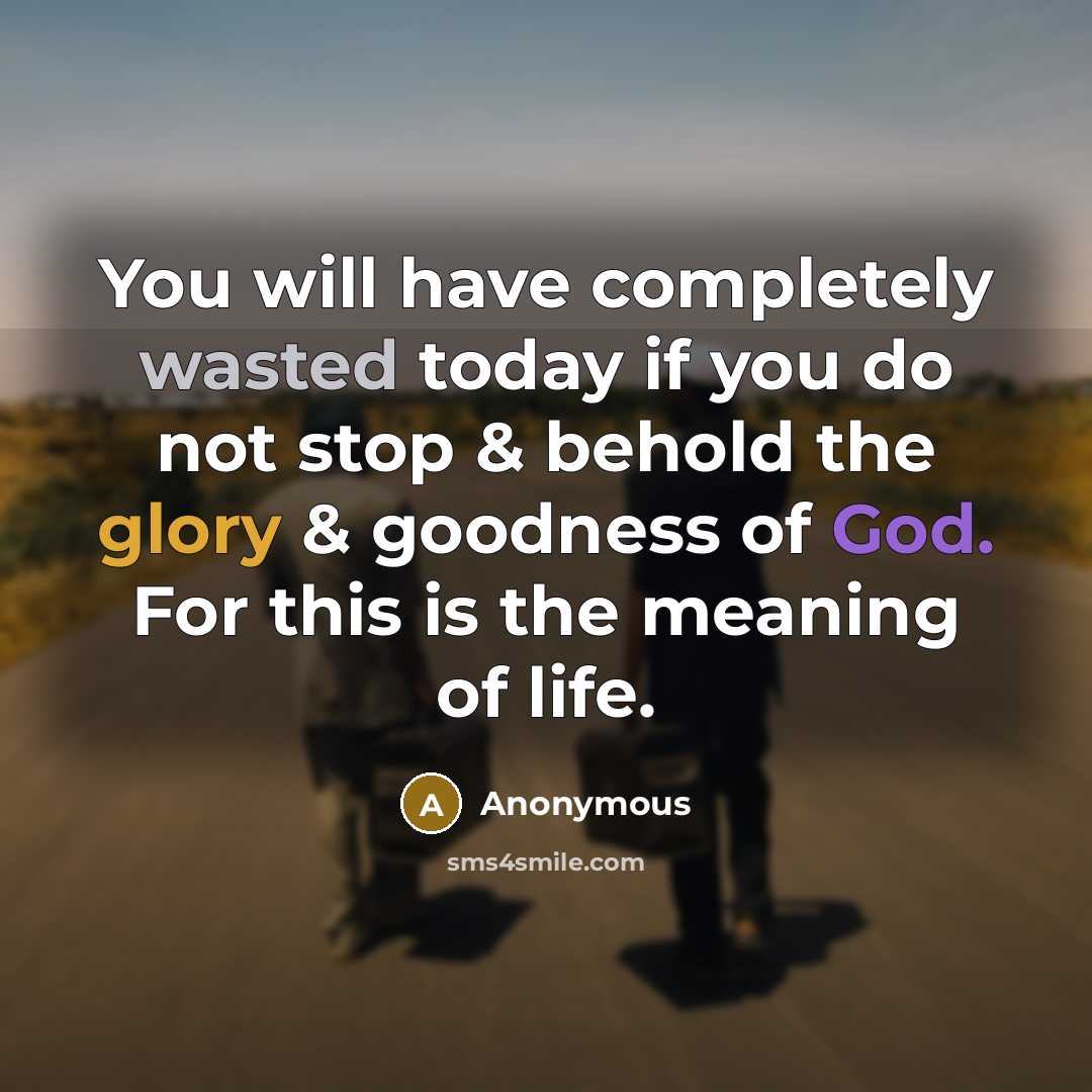 “You will have completely wasted today if you do not stop & behold the glory & goodness of God. For this is the meaning of life.” quote by Anonymous