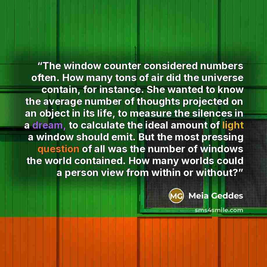 “The window counter considered numbers often. How many tons of air did the universe contain, for instance. She wanted to know the average number of thoughts projected on an object in its life, to measure the silences in a dream, to calculate the ideal amount of light a window should emit. But the…” quote by Meia Geddes