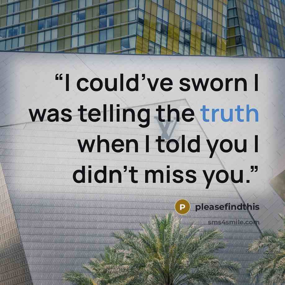 “I could’ve sworn I was telling the truth when I told you I didn’t miss you.” quote by pleasefindthis