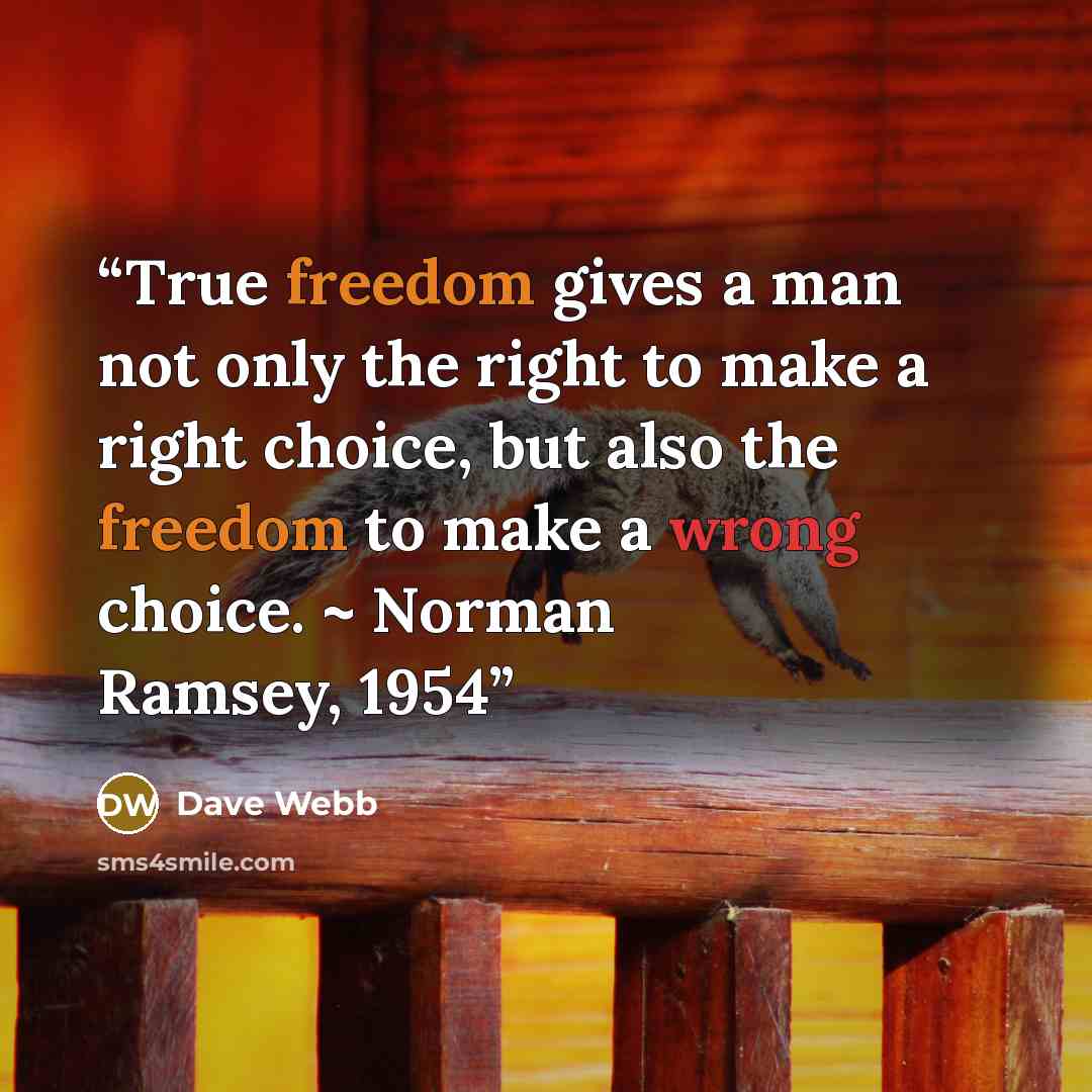 “True freedom gives a man not only the right to make a right choice, but also the freedom to make a wrong choice. ~ Norman Ramsey, 1954” quote by Dave Webb
