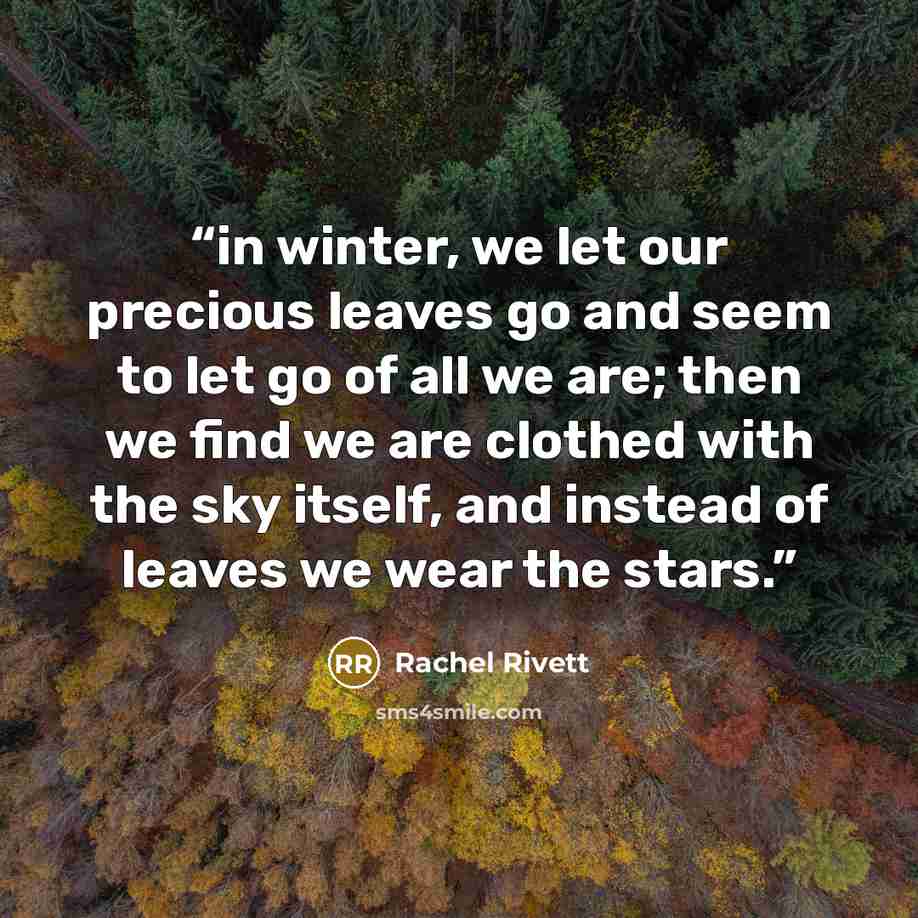 “in winter, we let our precious leaves go and seem to let go of all we are; then we find we are clothed with the sky itself, and instead of leaves we wear the stars.” quote by Rachel Rivett