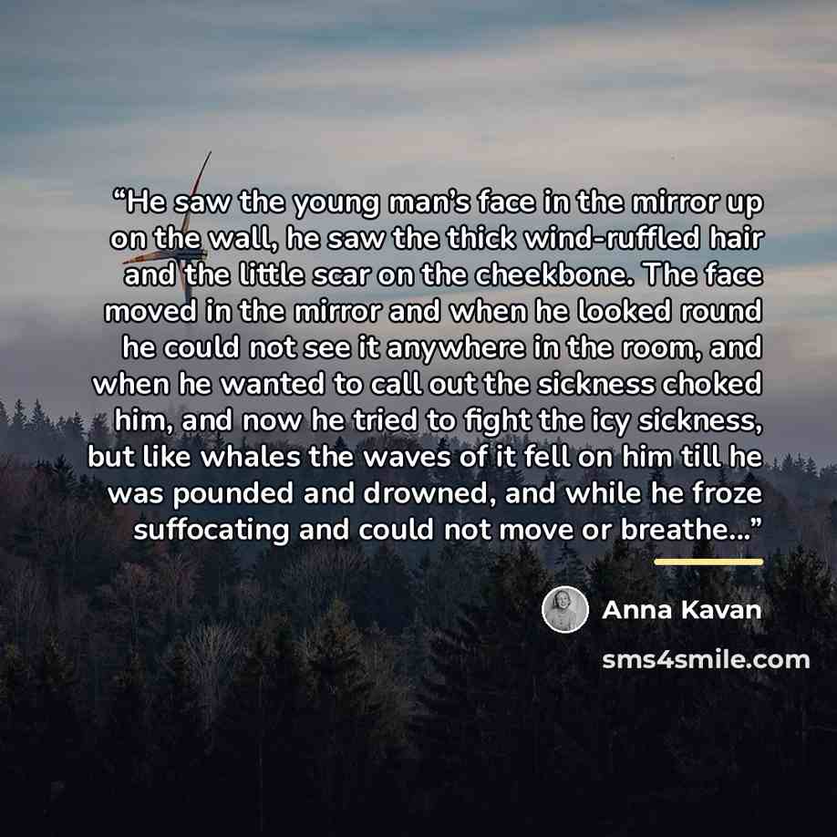 “He saw the young man’s face in the mirror up on the wall, he saw the thick wind-ruffled hair and the little scar on the cheekbone. The face moved in the mirror and when he looked round he could not see it anywhere in the room, and when he wanted to call out the sickness choked him, and now he…” quote by Anna Kavan