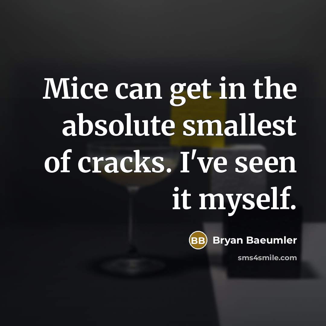 “Mice can get in the absolute smallest of cracks. I've seen it myself.” quote by Bryan Baeumler
