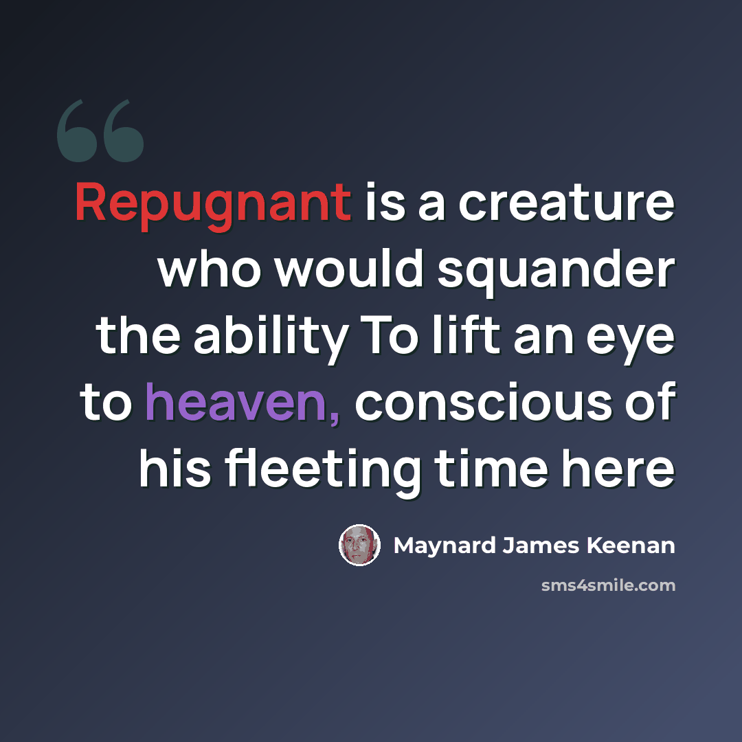 “Repugnant is a creature who would squander the ability To lift an eye to heaven, conscious of his fleeting time here” quote by Maynard James Keenan