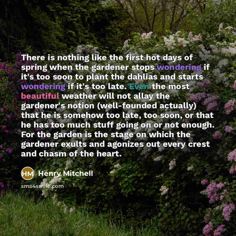 “There is nothing like the first hot days of spring when the gardener stops wondering if it's too soon to plant the dahlias and starts wondering if it's too late. Even the most beautiful weather will not allay the gardener's notion (well-founded actually) that he is somehow too late, too soon, or…” quote by Henry Mitchell