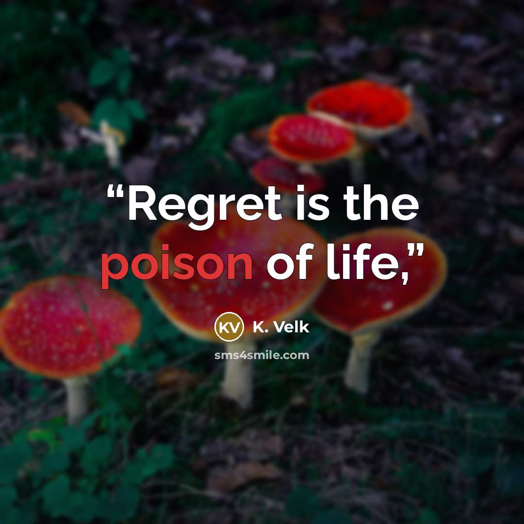 “Regret is the poison of life,” quote by K. Velk
