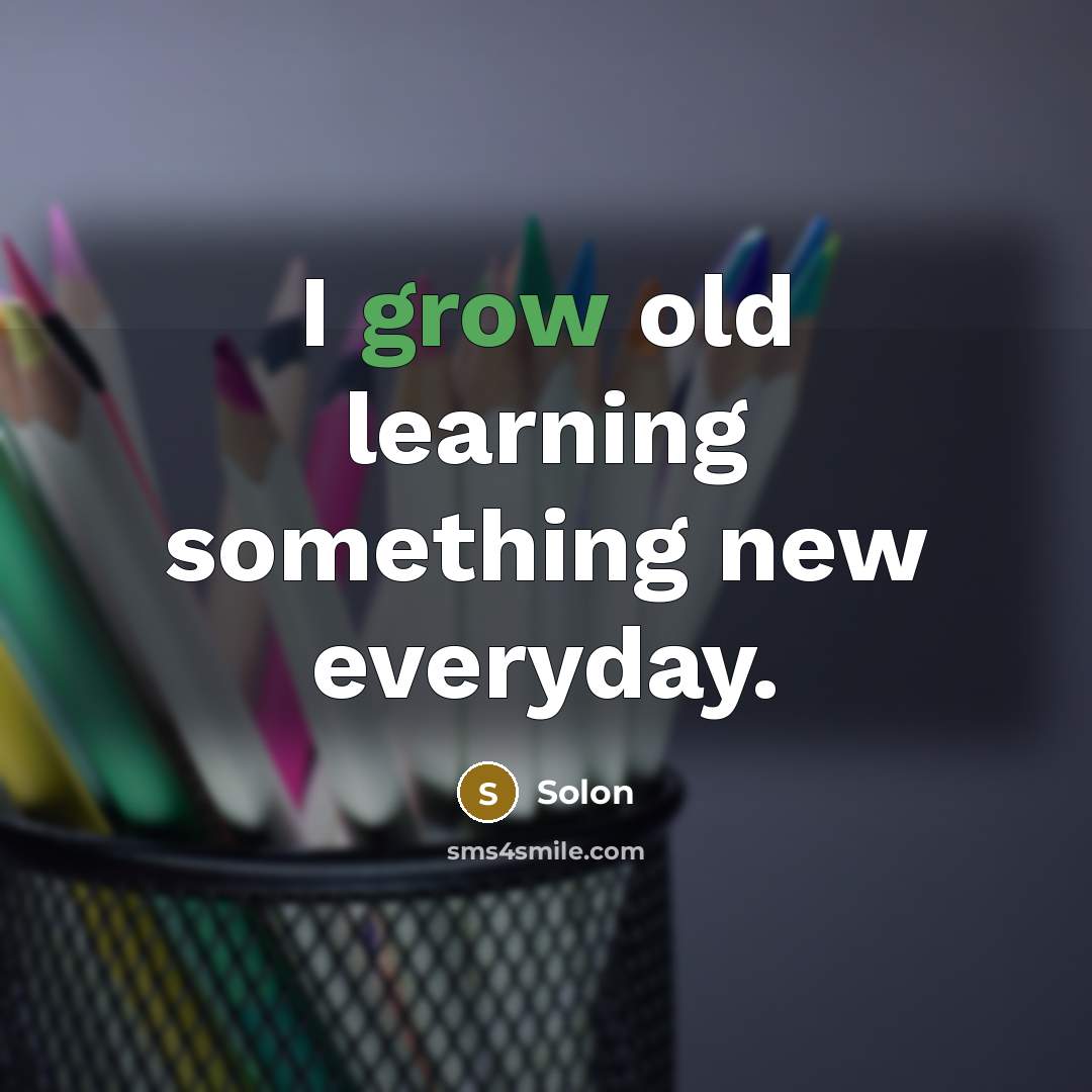 “I grow old learning something new everyday.” quote by Solon