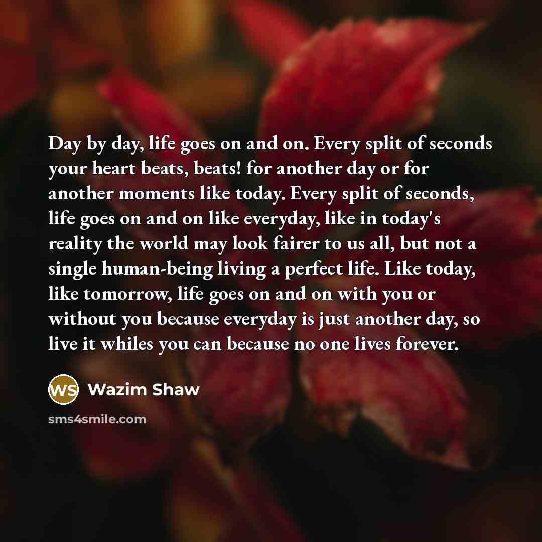 “Day by day, life goes on and on. Every split of seconds your heart beats, beats! for another day or for another moments like today. Every split of seconds, life goes on and on like everyday, like in today's reality the world may look fairer to us all, but not a single human-being living a perfect…” quote by Wazim Shaw