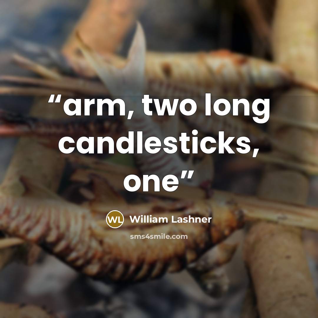 “arm, two long candlesticks, one” quote by William Lashner