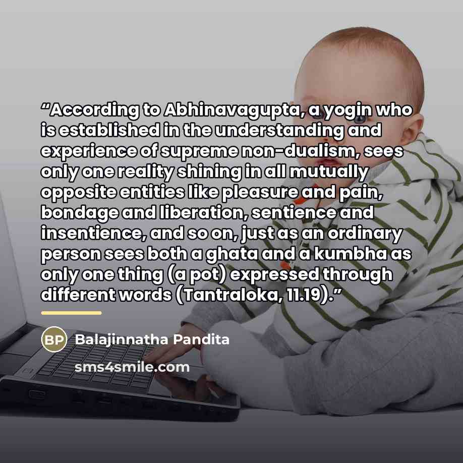 “According to Abhinavagupta, a yogin who is established in the understanding and experience of supreme non-dualism, sees only one reality shining in all mutually opposite entities like pleasure and pain, bondage and liberation, sentience and insentience, and so on, just as an ordinary person sees…” quote by Balajinnatha Pandita