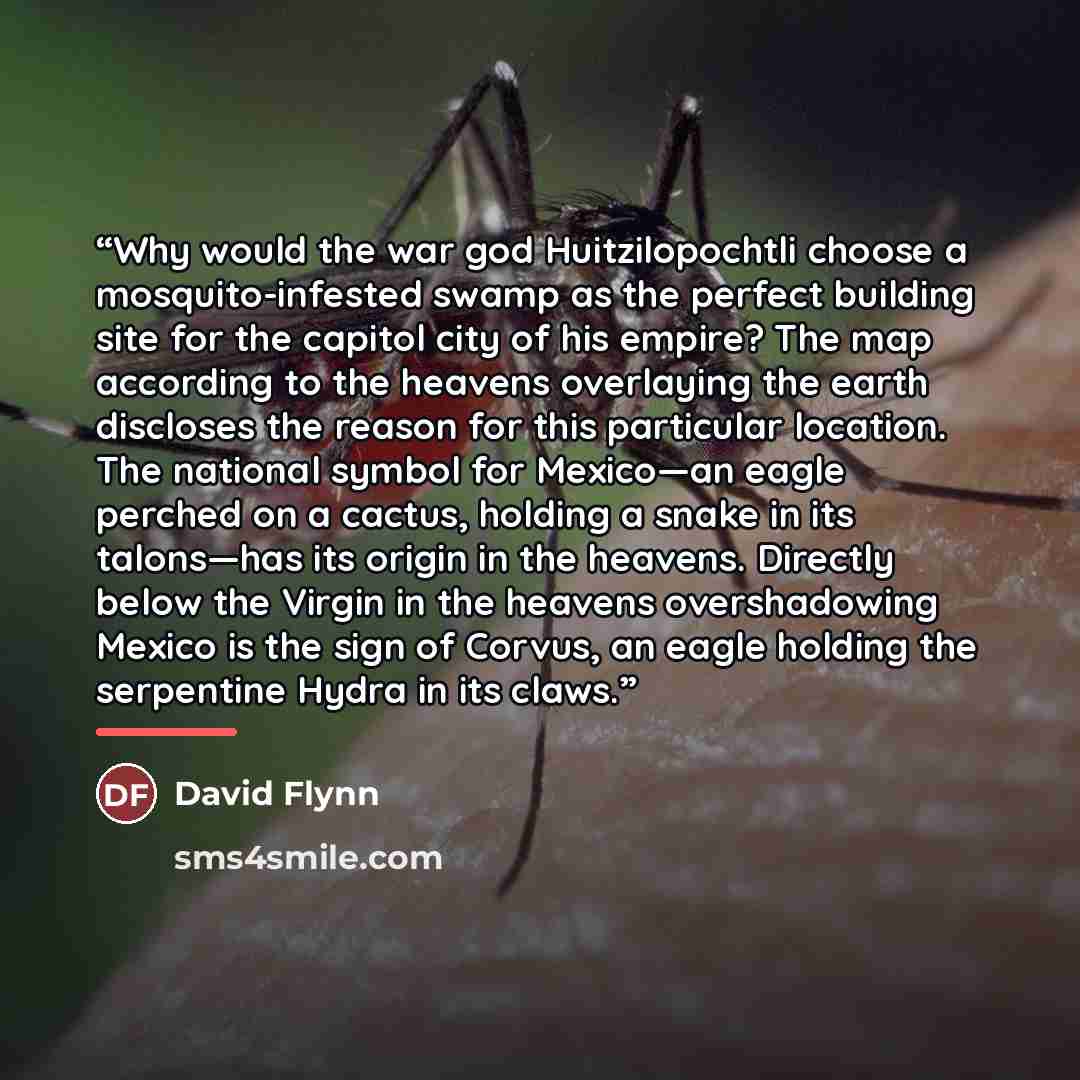 “Why would the war god Huitzilopochtli choose a mosquito-infested swamp as the perfect building site for the capitol city of his empire? The map according to the heavens overlaying the earth discloses the reason for this particular location. The national symbol for Mexico—an eagle perched on a…” quote by David Flynn
