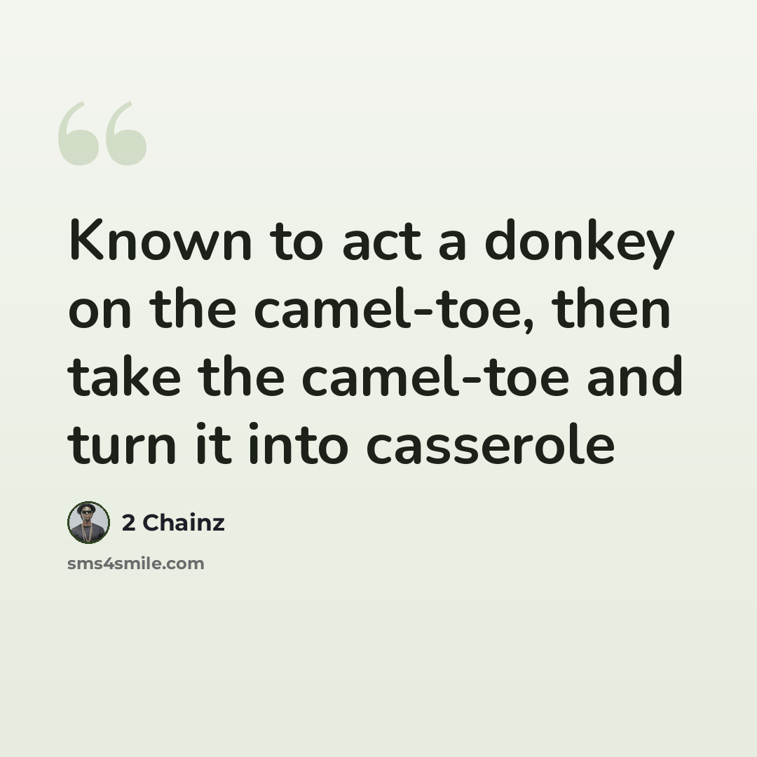 “Known to act a donkey on the camel-toe, then take the camel-toe and turn it into casserole” quote by 2 Chainz