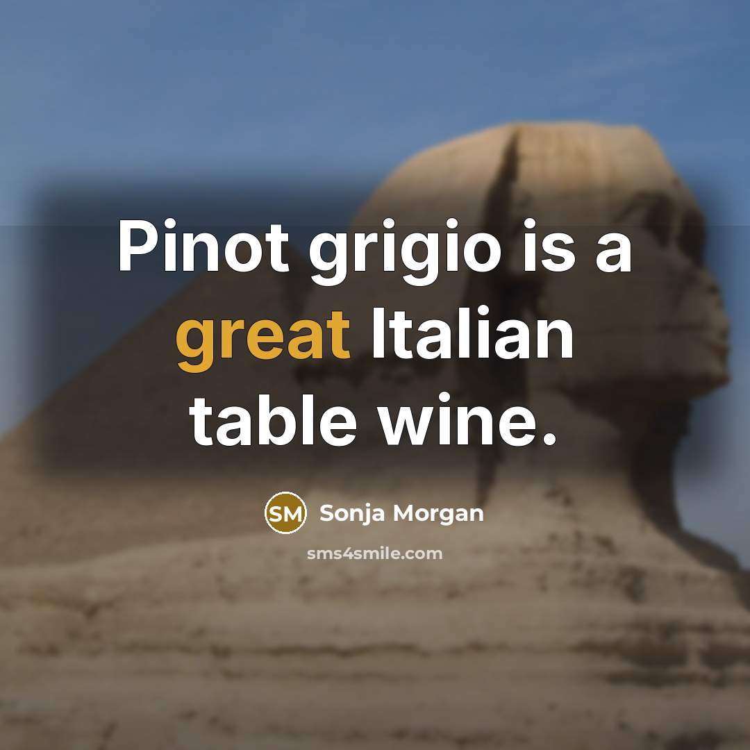 “Pinot grigio is a great Italian table wine.” quote by Sonja Morgan