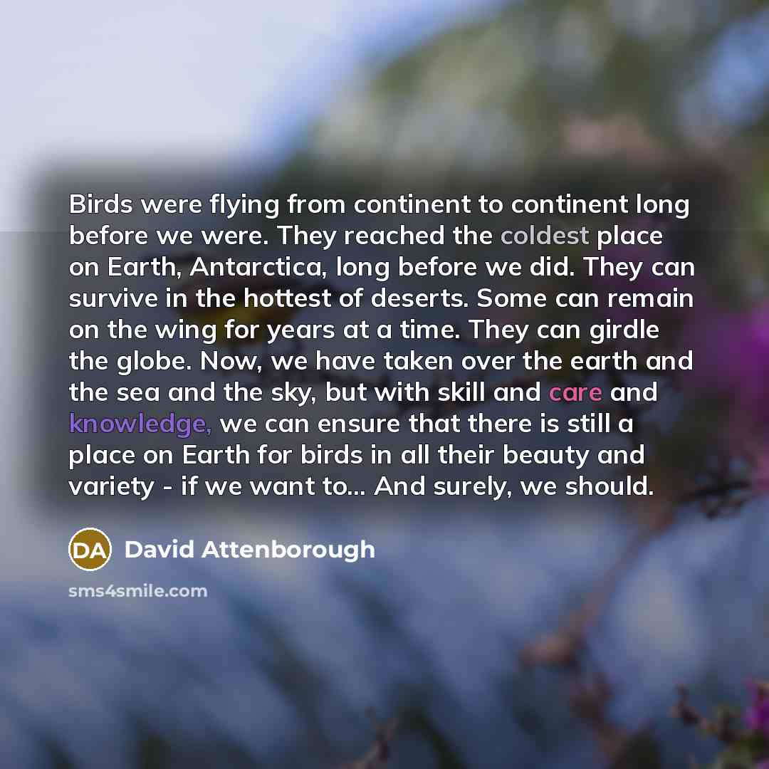 “Birds were flying from continent to continent long before we were. They reached the coldest place on Earth, Antarctica, long before we did. They can survive in the hottest of deserts. Some can remain on the wing for years at a time. They can girdle the globe. Now, we have taken over the earth and…” quote by David Attenborough