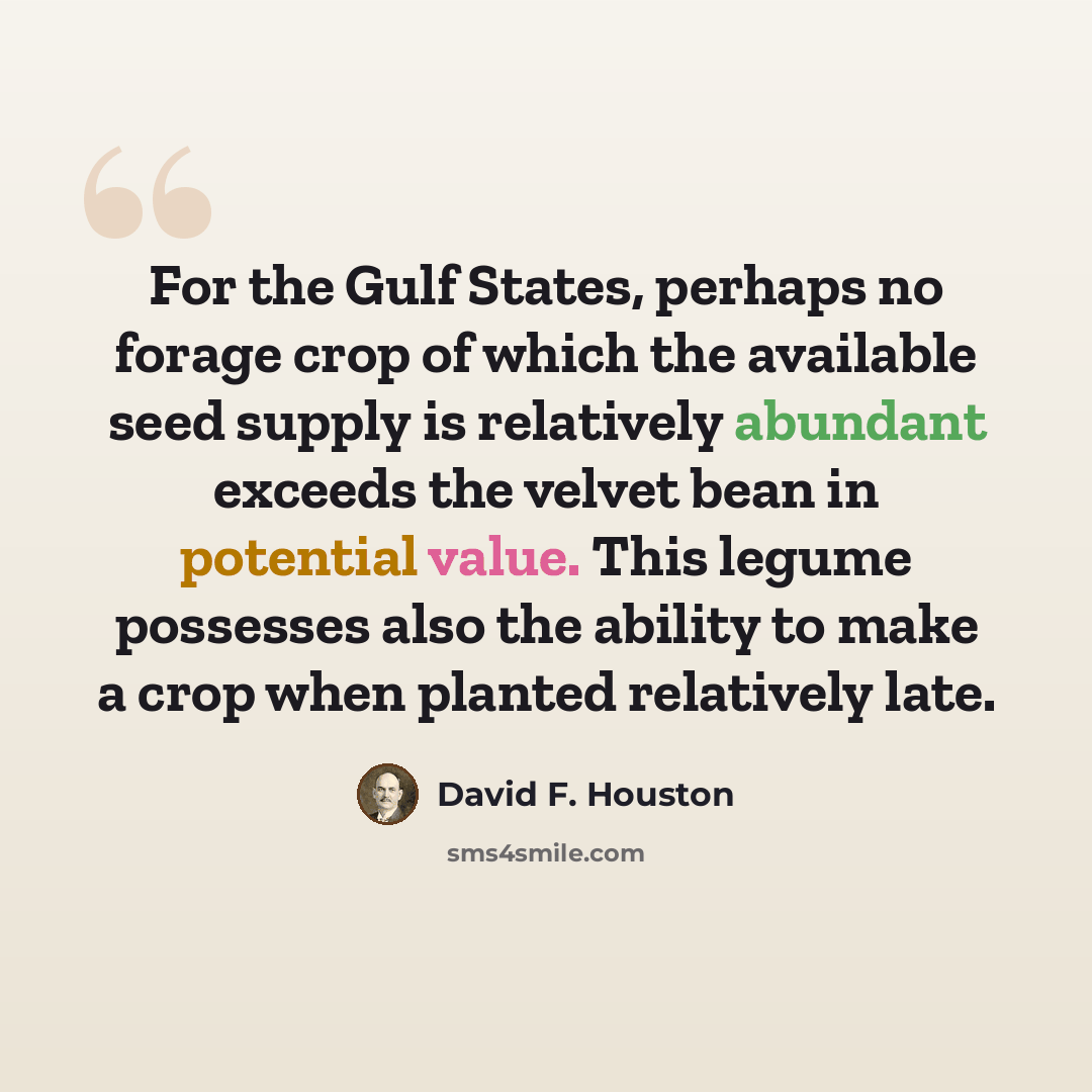 “For the Gulf States, perhaps no forage crop of which the available seed supply is relatively abundant exceeds the velvet bean in potential value. This legume possesses also the ability to make a crop when planted relatively late.” quote by David F. Houston