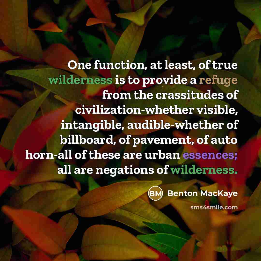 “One function, at least, of true wilderness is to provide a refuge from the crassitudes of civilization-whether visible, intangible, audible-whether of billboard, of pavement, of auto horn-all of these are urban essences; all are negations of wilderness.” quote by Benton MacKaye