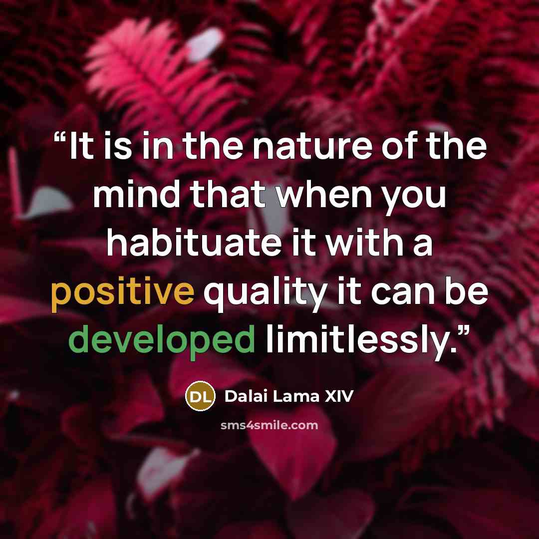“It is in the nature of the mind that when you habituate it with a positive quality it can be developed limitlessly.” quote by Dalai Lama XIV