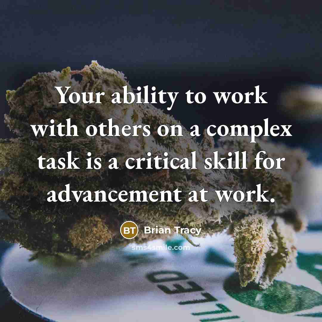 “Your ability to work with others on a complex task is a critical skill for advancement at work.” quote by Brian Tracy