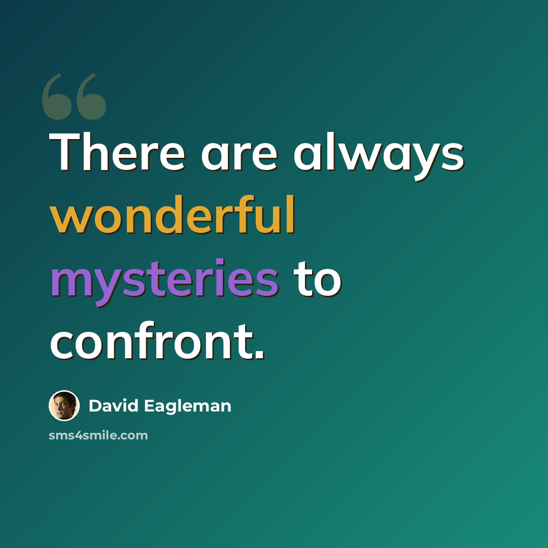 “There are always wonderful mysteries to confront.” quote by David Eagleman
