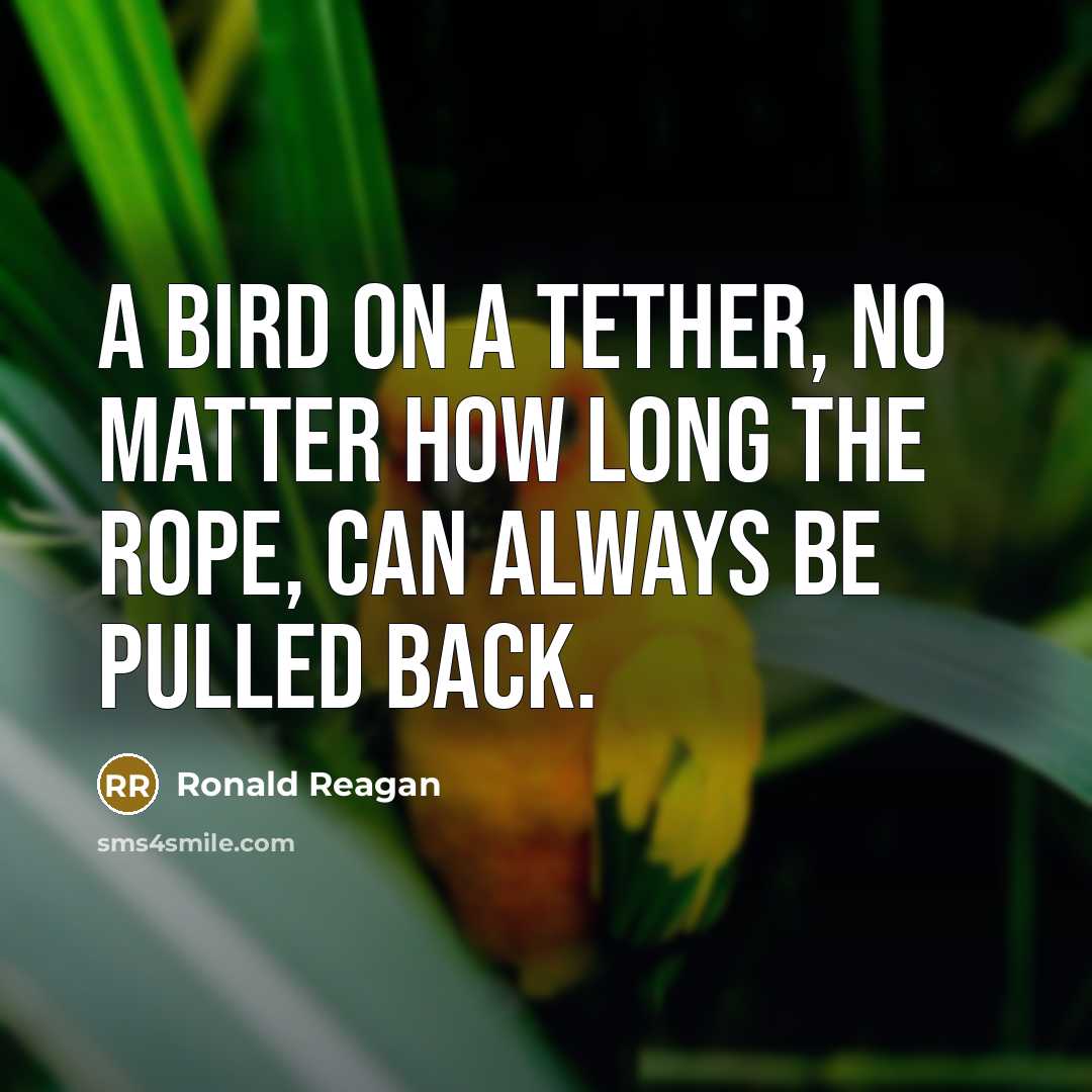 “A bird on a tether, no matter how long the rope, can always be pulled back.” quote by Ronald Reagan