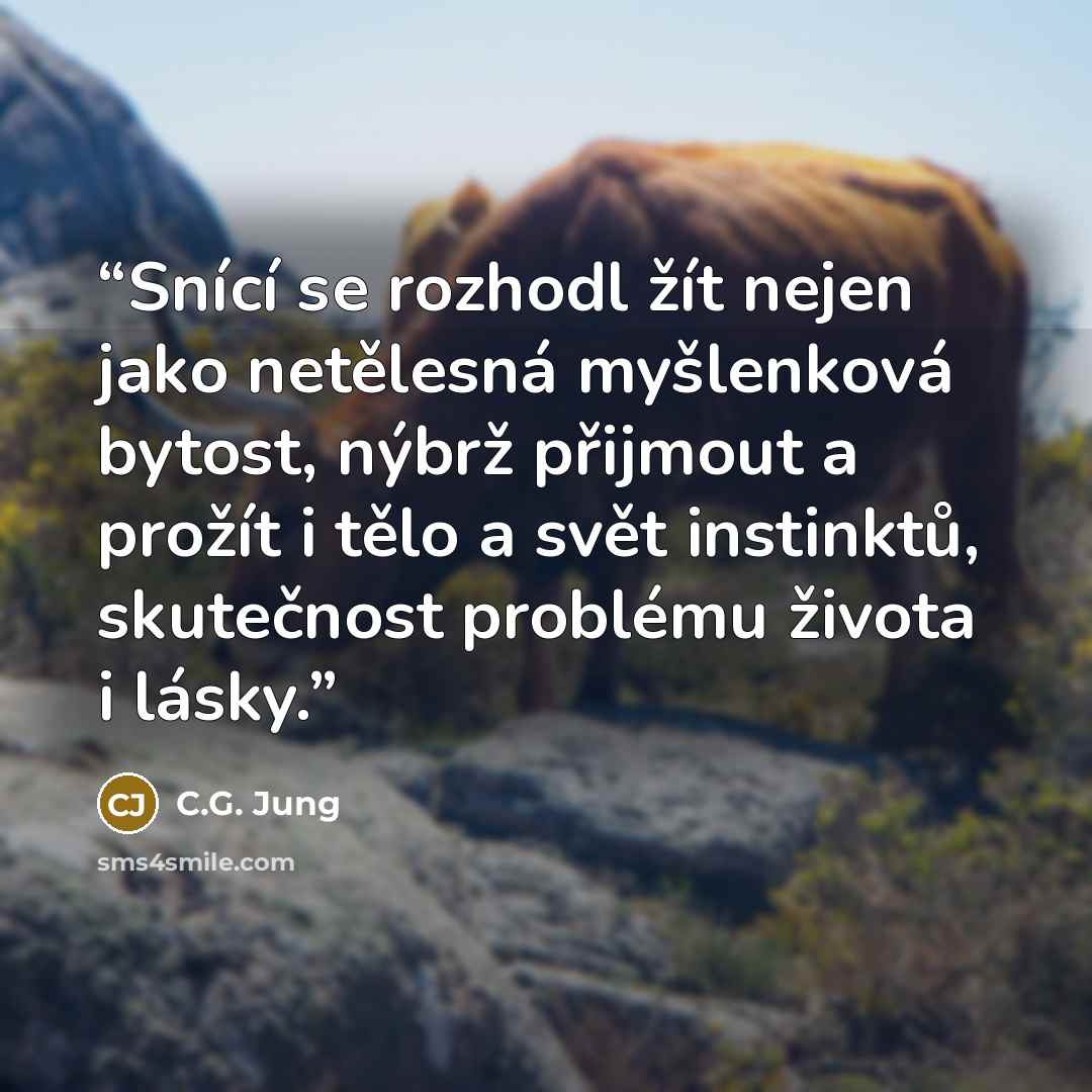 “Snící se rozhodl žít nejen jako netělesná myšlenková bytost, nýbrž přijmout a prožít i tělo a svět instinktů, skutečnost problému života i lásky.” quote by C.G. Jung
