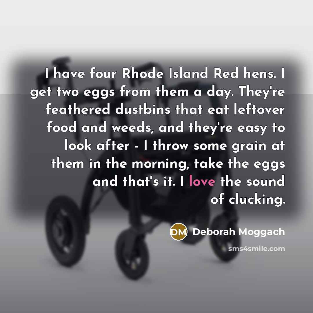 “I have four Rhode Island Red hens. I get two eggs from them a day. They're feathered dustbins that eat leftover food and weeds, and they're easy to look after - I throw some grain at them in the morning, take the eggs and that's it. I love the sound of clucking.” quote by Deborah Moggach