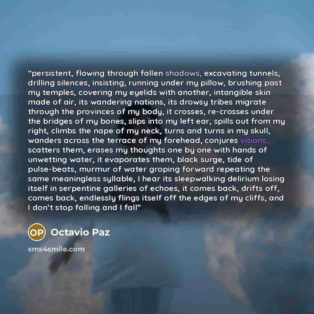 “persistent, flowing through fallen shadows, excavating tunnels, drilling silences, insisting, running under my pillow, brushing past my temples, covering my eyelids with another, intangible skin made of air, its wandering nations, its drowsy tribes migrate through the provinces of my body, it…” quote by Octavio Paz
