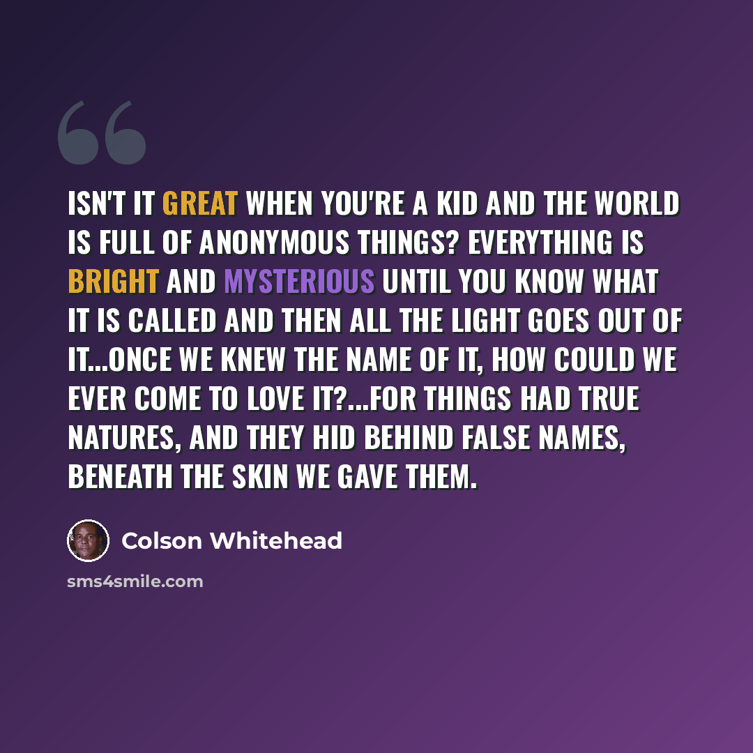 “Isn't it great when you're a kid and the world is full of anonymous things? Everything is bright and mysterious until you know what it is called and then all the light goes out of it...Once we knew the name of it, how could we ever come to love it?...For things had true natures, and they hid…” quote by Colson Whitehead