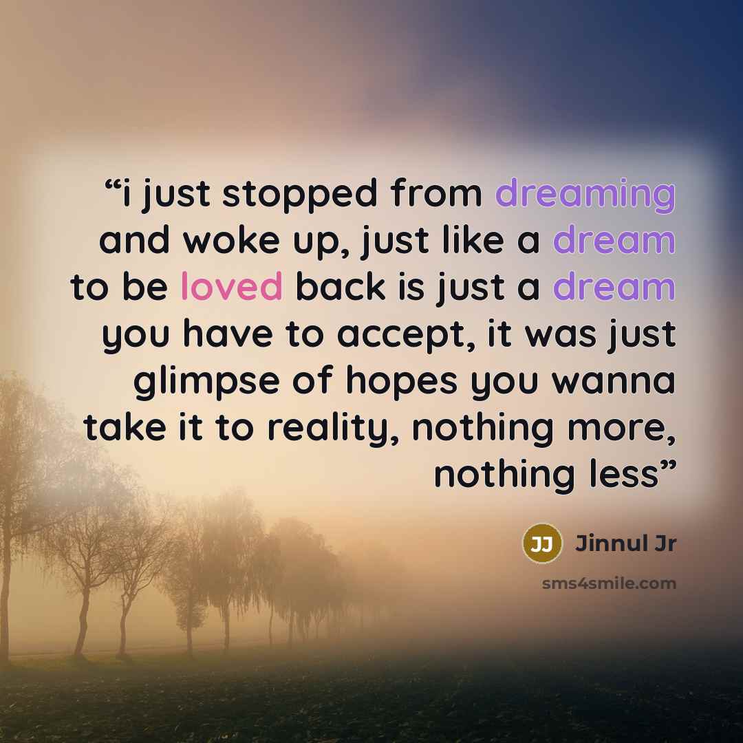 “i just stopped from dreaming and woke up, just like a dream to be loved back is just a dream you have to accept, it was just glimpse of hopes you wanna take it to reality, nothing more, nothing less” quote by Jinnul Jr