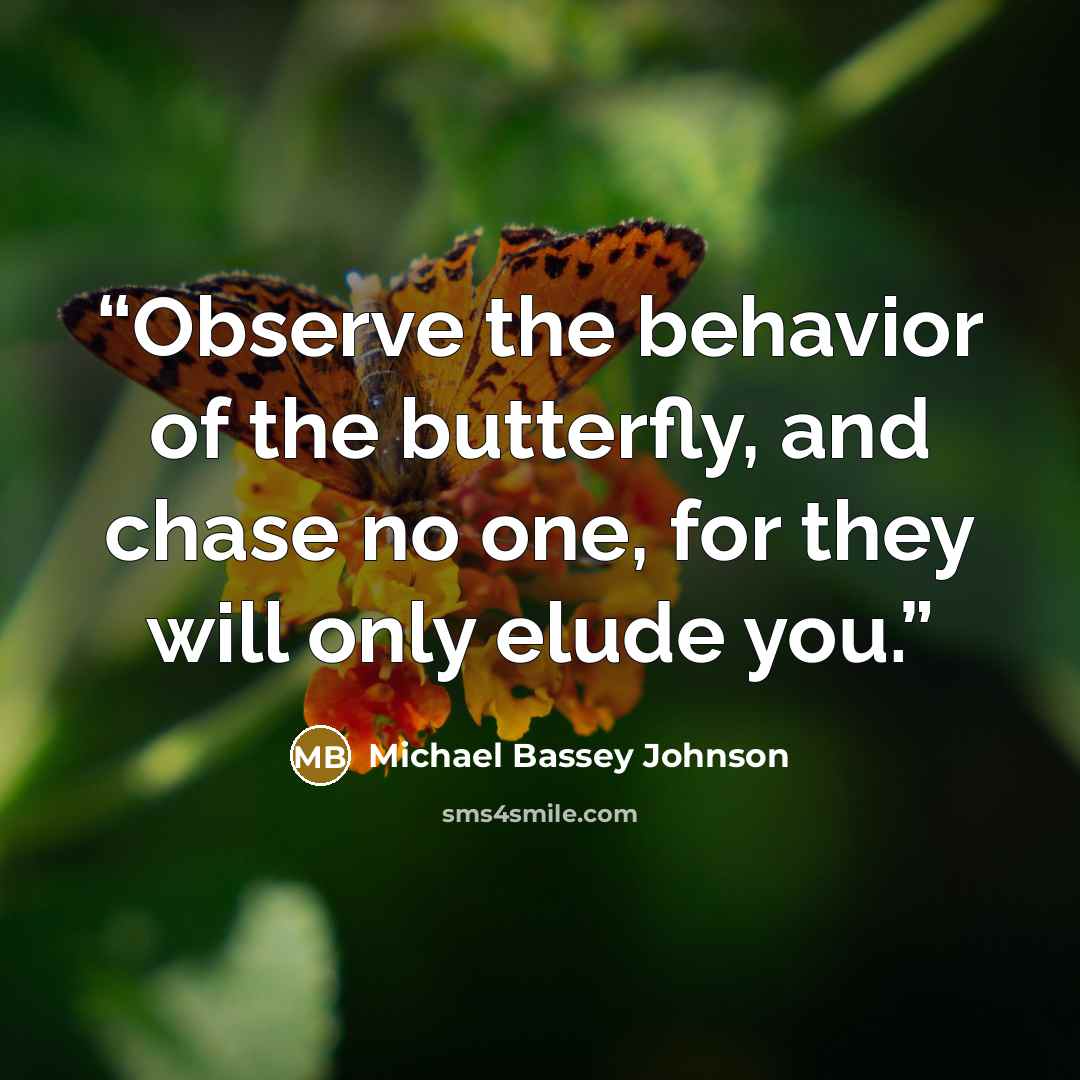 “Observe the behavior of the butterfly, and chase no one, for they will only elude you.” quote by Michael Bassey Johnson