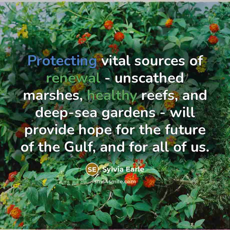“Protecting vital sources of renewal - unscathed marshes, healthy reefs, and deep-sea gardens - will provide hope for the future of the Gulf, and for all of us.” quote by Sylvia Earle