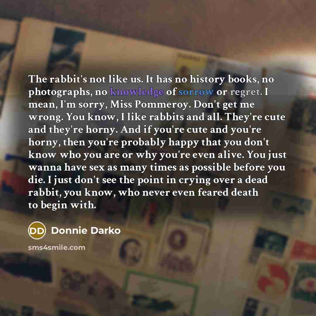 “The rabbit's not like us. It has no history books, no photographs, no knowledge of sorrow or regret. I mean, I'm sorry, Miss Pommeroy. Don't get me wrong. You know, I like rabbits and all. They're cute and they're horny. And if you're cute and you're horny, then you're probably happy that you…” quote by Donnie Darko