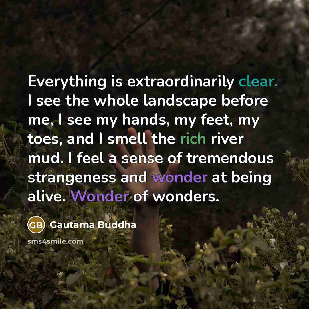 “Everything is extraordinarily clear. I see the whole landscape before me, I see my hands, my feet, my toes, and I smell the rich river mud. I feel a sense of tremendous strangeness and wonder at being alive. Wonder of wonders.” quote by Gautama Buddha